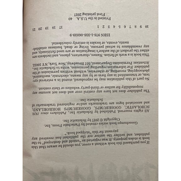 Goosebumps SlappyWorld: I Am Slappys Evil Twin By R.L. Stine - Picture 3 of 8